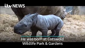 34K views · 1.2K reactions | Cotswold Wildlife Park and Gardens has...