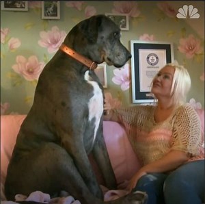 191K views · 2K reactions | Imagine feeding this behemoth, not to...