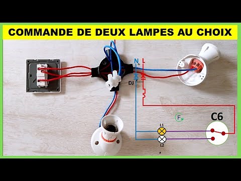 MONTAGE DE DEUX LAMPES AU CHOIX