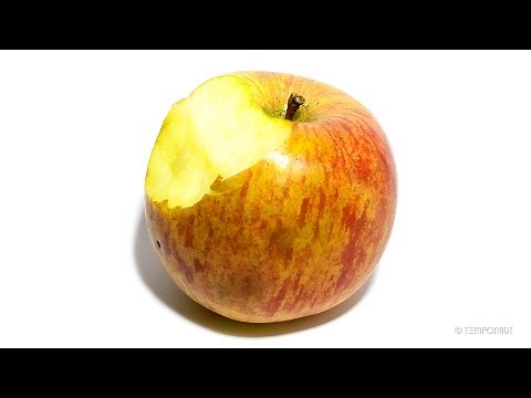 Apple Timelapse Video - YouTube