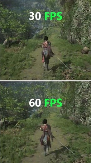 30 FPS vs 60 FPS Comparison - Huge Smoothness Difference!