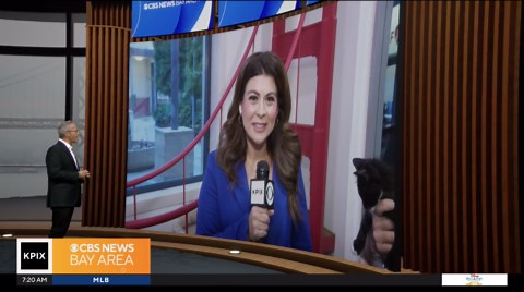 SF SPCA takes in animals overwhelmed in Orange County shelters