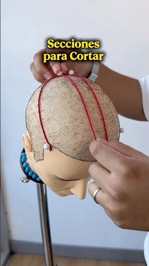 Sections to cut 💈 Horizontal, Vertical and pivoting