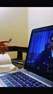 How to Install & Set Up Flutter | Complete Beginner Guide (Day 1)