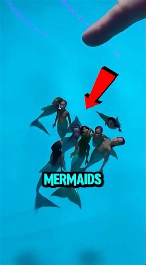 He Built a Pool for Micro Mermaids in His Basement—Wait Until You See Them Swim 🐠