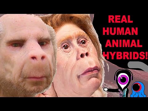 HUMAN MONKEY HYBRID CREATED IN CHINA