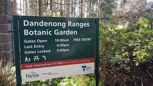 Dandenong Ranges Botanic Garden | Chelsea Australian Garden