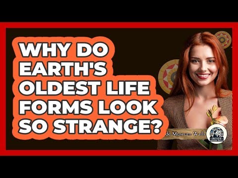 Why Do Earth's Oldest Life Forms Look So Strange? - Inside Museum Walls