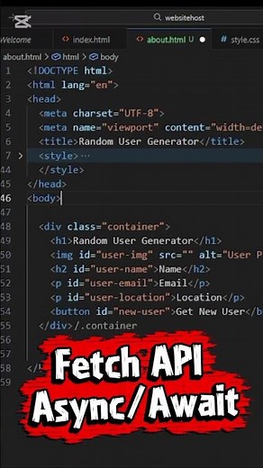 How to Fetch API in JavaScript - Async and Await