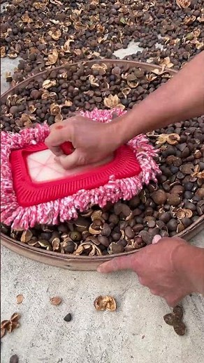 Woolen Tool Tutorial for Dry Fruit Shell Cleaning