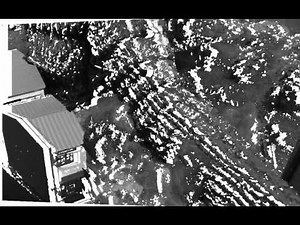 ゴジラ１９５４ 電波塔襲撃 モノクロバージョン