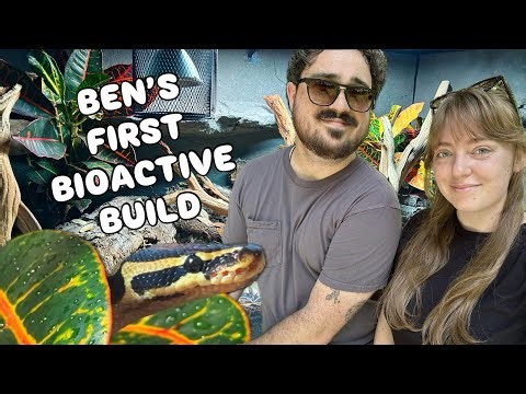 My boyfriend’s first reptile! | Ball Python Enclosure Setup 