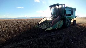 Andrei Zapor on Reels