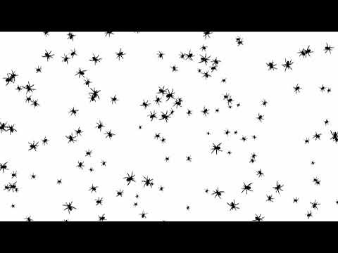 Halloween Projection Spiders Loop