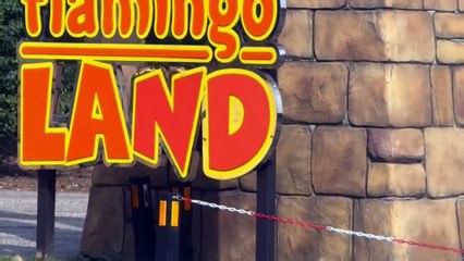 Flamingo Land, Yorkshire: Inside the theme park and zoo