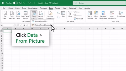 Insert data from picture