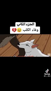 K9 Dogs Training on Reels