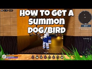 How to get summons in ninja time