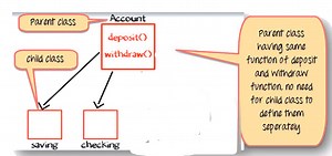 Polymorphism in Java (Static and Dynamic)