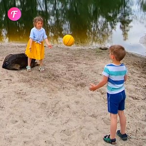 375K views · 2.5K reactions | Loyal dog protects children. | Fabiosa Life Stories | Facebook