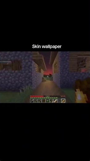 Skin Wallpaper 💀 #minecraft #dog