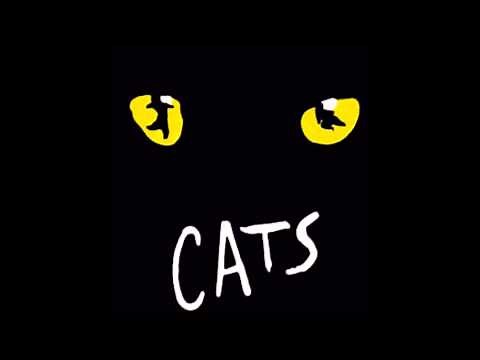 Cats: 1- Overture