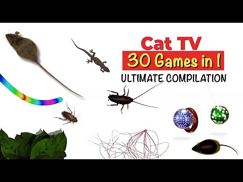 CATS TV - ULTIMATE Games Compilation for CATS & DOGS 😹 30 in 1 cat games mix (10 HOURS)