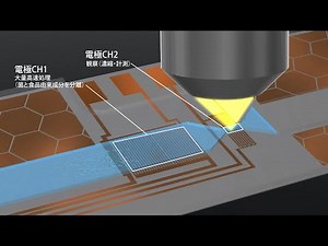 原理の紹介：微生物汚染リスクモニタリングシステム「ELESTA🄬 PixeeMo🄬」（日本語版）