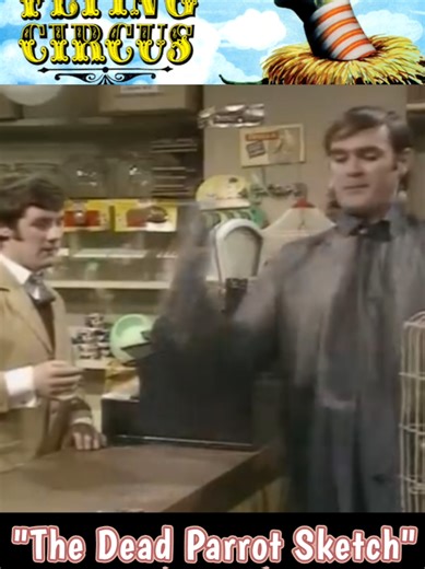 Madhouse Monty on TikTok