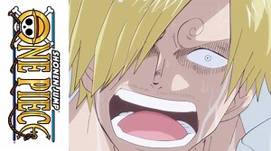 Sanji searches everywhere for Luffy! | Funimation