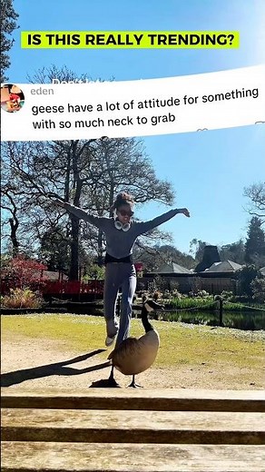 HOW TO HANDLE AGGRESSIVE GEESE FUNNY TUTORIAL ON SCARING OFF HISSING GEESE! @shaybeyond