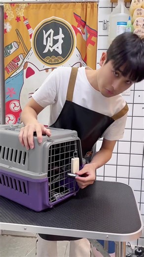 #foryou #cleaning #petcat #difficult | cats