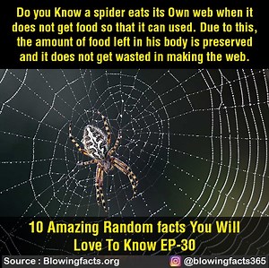 88K views · 403 reactions | 10 Amazing Random facts You Will Love To Know | Facts that will blow your mind | Facebook