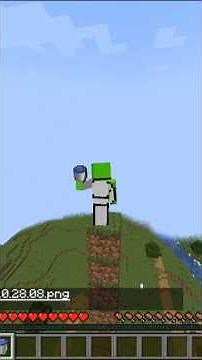 some iconic minecraft skin😍#minecraft