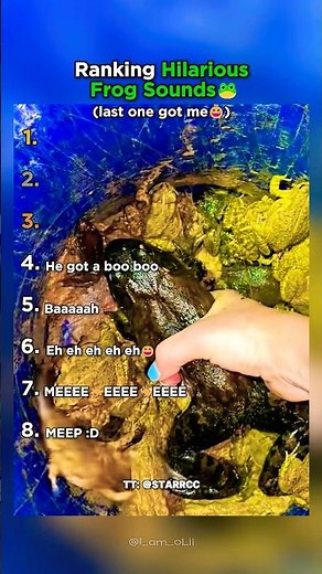 Top 8 Hilarious Frog Noises That Will Make You Croak