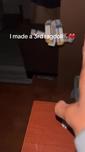 Creating a Third Ragdoll: A Fun Journey