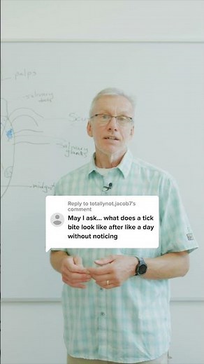 What Does A Tick Bite Look Like? Tick Expert Advice