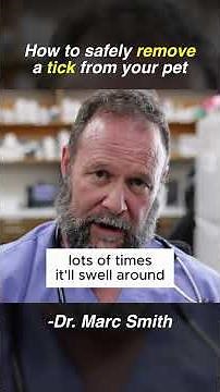 Tick Removal Tips for Dogs | Vet Advice from Marc Smith, DVM, MS