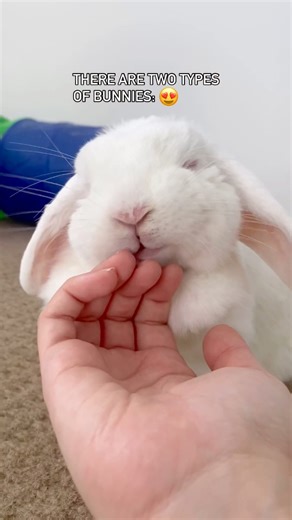 543K views · 15K reactions | Which type do you have? I have one of...