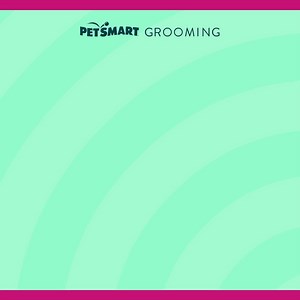 138K views | PetSmart on Reels | Facebook