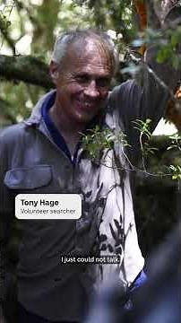 Celine Cremer's phone found in major breakthrough | ABC News