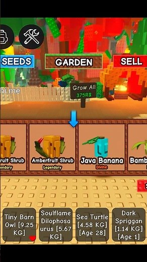 I Got Java Banana Seed in Roblox Grow a Garden! 🍌🌱 #roblox #growagarden #shorts