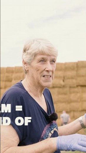 #shorts Raising Pigs From Breeding to Birth on Our Farm