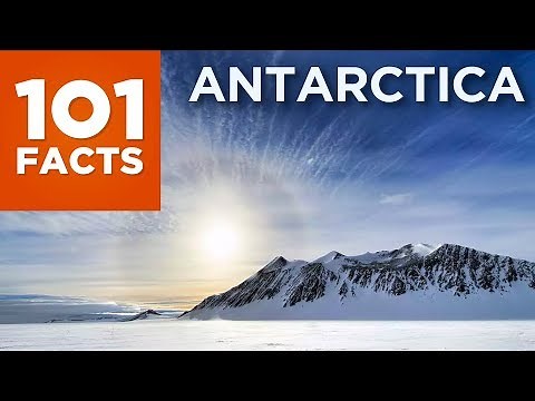 101 Facts About Antarctica
