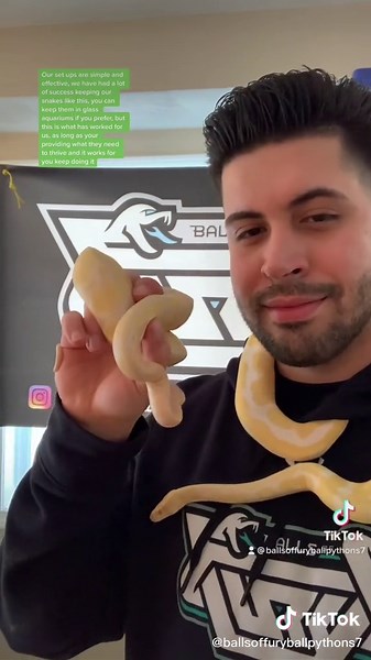 Ball Python Setup Guide for Pet Owners