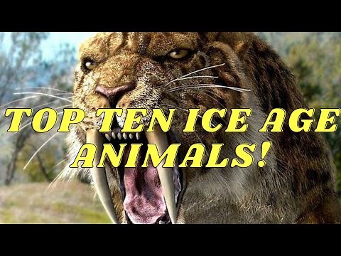 Top 10 ice age animals!