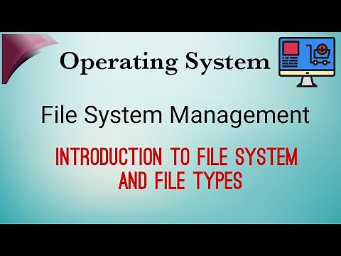Introduction to File System Management | File Types