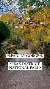 Travel goals: Discover hundreds of colours in an autumn wonderland 🍂 🎥: @sheexplores_uk 📍 Padley Gorge, Peak District National Park | VisitEngland