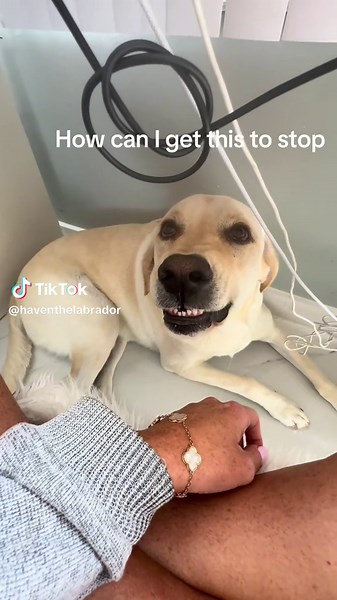 Haven and Kelly on TikTok