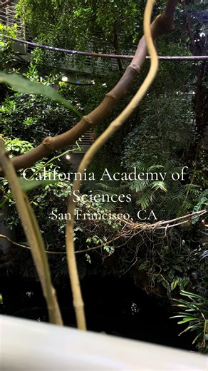 Exploring Science at the California Academy of Sciences